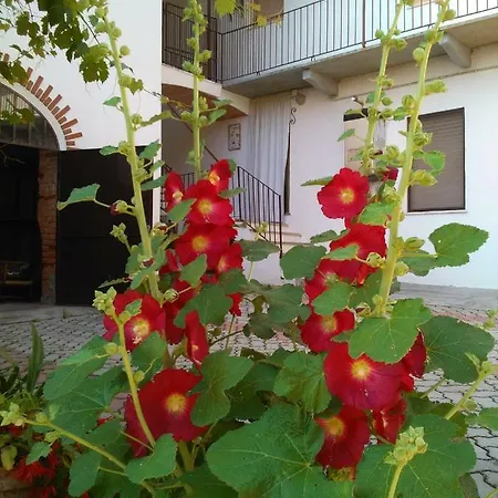 Casa Aromi Ed Arte * 아스티