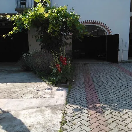 Gospodarstwo wiejskie Casa Aromi Ed Arte Asti