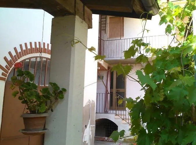 Gospodarstwo wiejskie Casa Aromi Ed Arte Asti